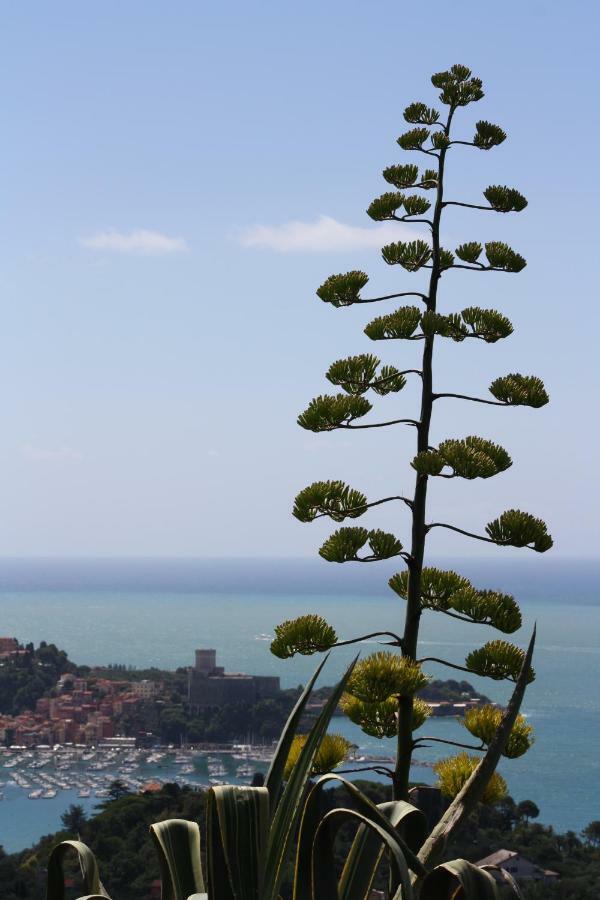 Agave Di Lerici Vila Exterior foto