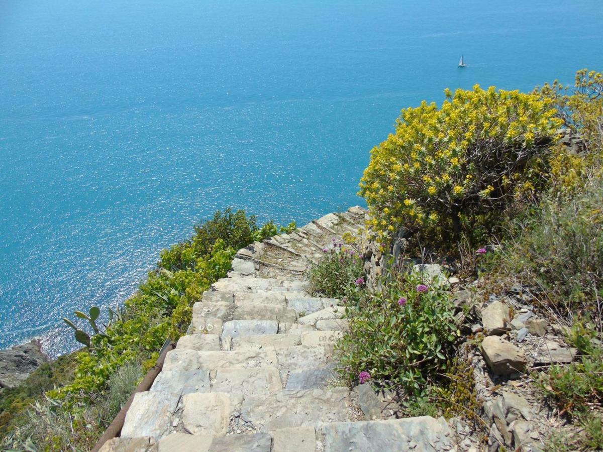 Agave Di Lerici Vila Exterior foto